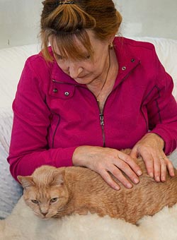 Margrit Coates Healing a Ginger Cat
