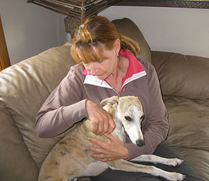 Margrit Coates Animal Healer - healing a dog